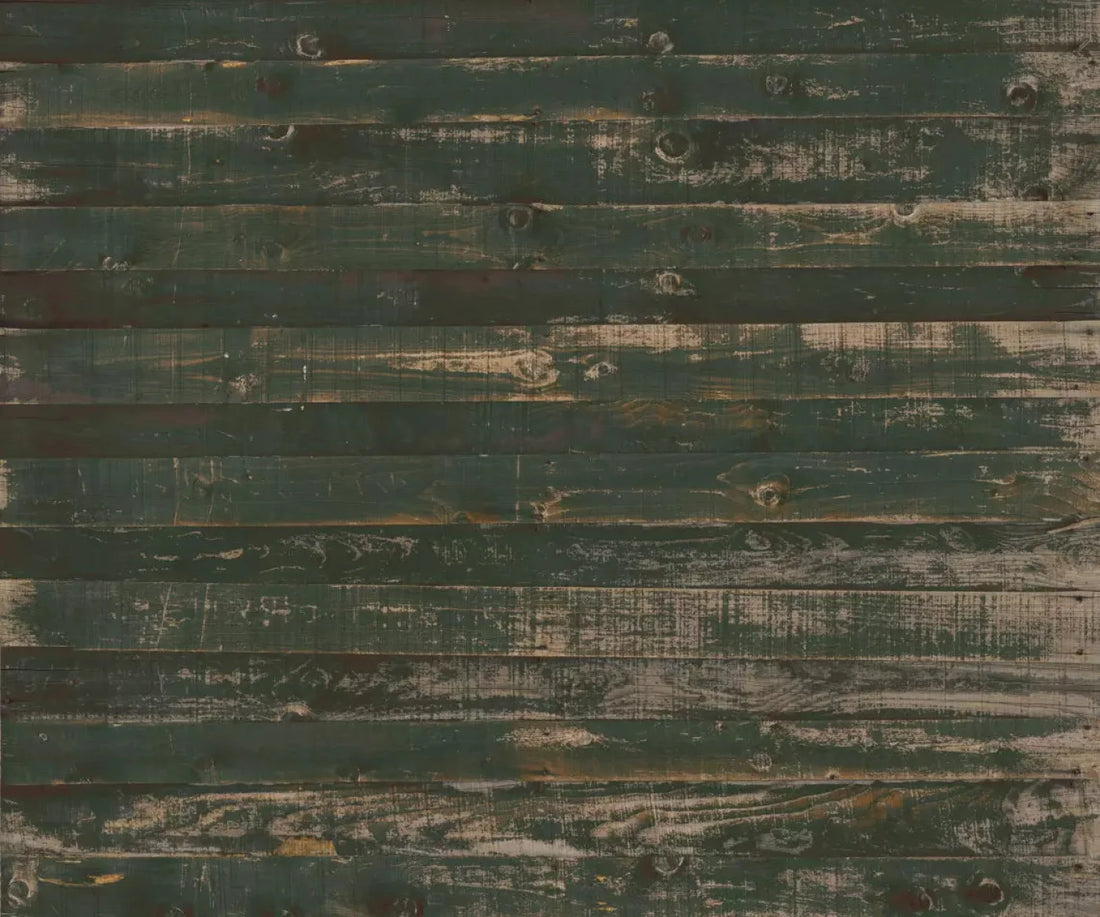 Hut 5X42 Fleece ( 60 X 50 Inch ) Backdrop
