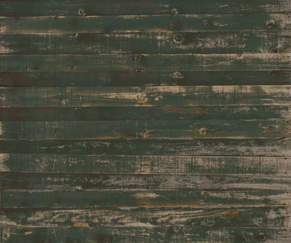 Hut 5X42 Fleece ( 60 X 50 Inch ) Backdrop
