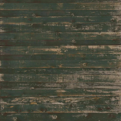 Hut 8X8 Fleece ( 96 X Inch ) Backdrop