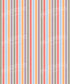 Multi-Color Pattern Backdrop for Photography