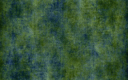 Ian 14X9 Ultracloth ( 168 X 108 Inch ) Backdrop