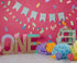 Pink Party Backdrop for Photography