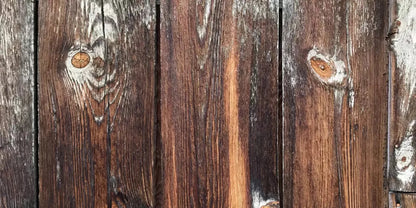 Idaho 20X10 Ultracloth ( 240 X 120 Inch ) Backdrop
