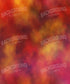 Red Painted Backdrop for Photography