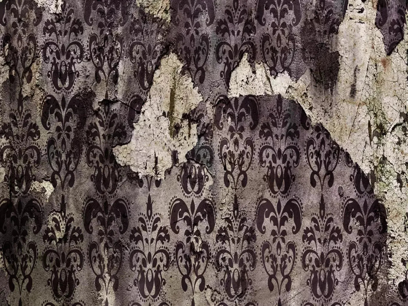 Ignored 10X8 Fleece ( 120 X 96 Inch ) Backdrop