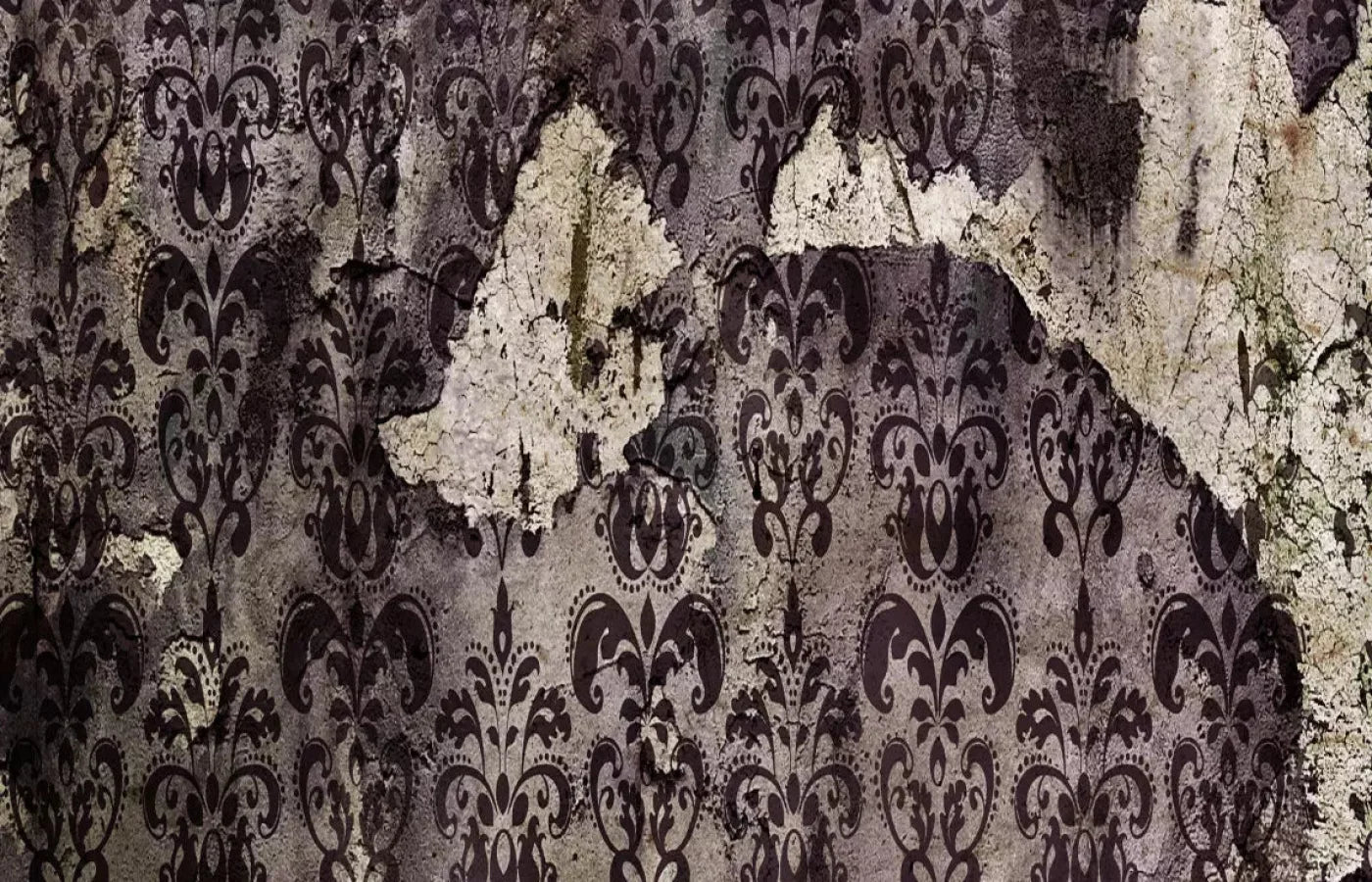Ignored 12X8 Ultracloth ( 144 X 96 Inch ) Backdrop