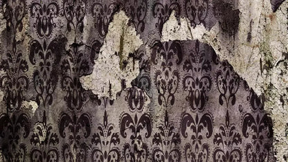 Ignored 14X8 Ultracloth ( 168 X 96 Inch ) Backdrop