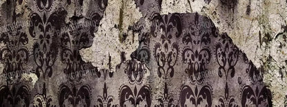 Ignored 20X8 Ultracloth ( 240 X 96 Inch ) Backdrop