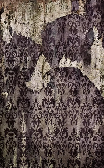 Ignored 9X14 Ultracloth ( 108 X 168 Inch ) Backdrop