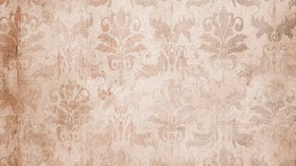 Imogen 14’X8’ Ultracloth (168 X 96 Inch) Backdrop
