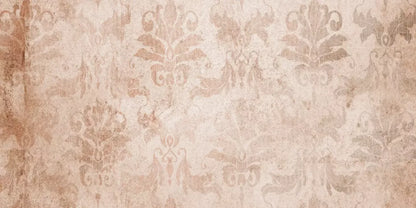 Imogen 20’X10’ Ultracloth (240 X 120 Inch) Backdrop