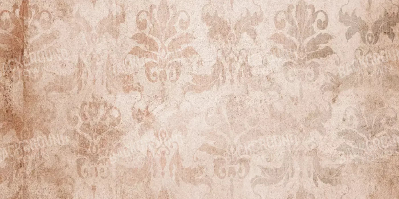 Imogen 20’X10’ Ultracloth (240 X 120 Inch) Backdrop