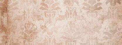 Imogen 20’X8’ Ultracloth (240 X 96 Inch) Backdrop