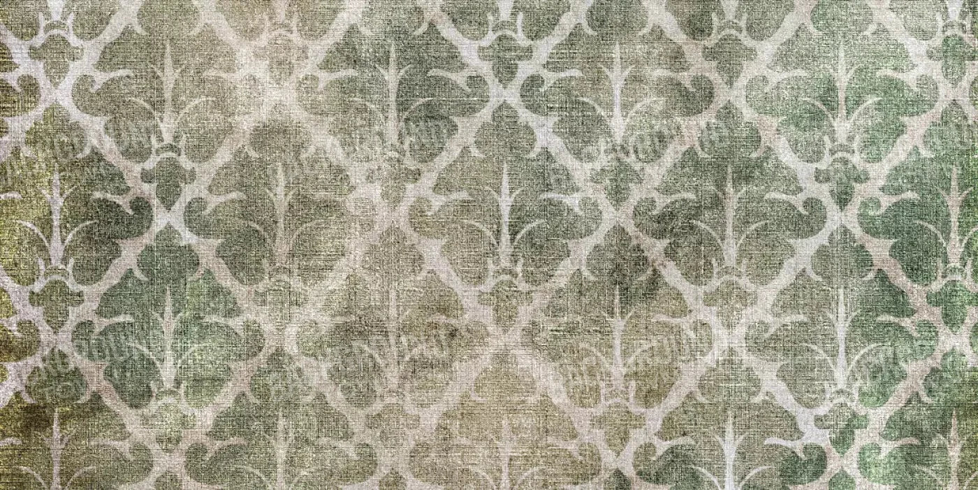 Impression 20X10 Ultracloth ( 240 X 120 Inch ) Backdrop