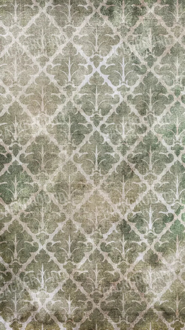 Impression 8X14 Ultracloth ( 96 X 168 Inch ) Backdrop