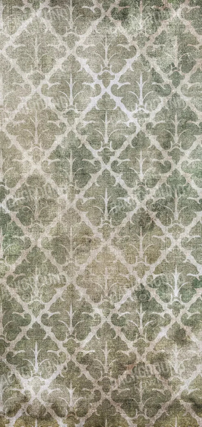 Impression 8X16 Ultracloth ( 96 X 192 Inch ) Backdrop