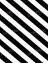 Black And White 8X10 Fleece ( 96 X 120 Inch ) Backdrop