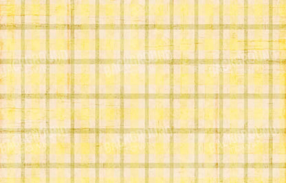 Goldenrod 12X8 Ultracloth ( 144 X 96 Inch ) Backdrop