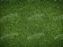 Grass 10X8 Fleece ( 120 X 96 Inch ) Backdrop
