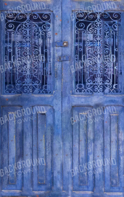 India Door2 10X16 Ultracloth ( 120 X 192 Inch ) Backdrop