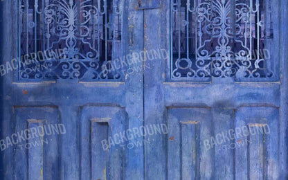 India Door2 14X9 Ultracloth ( 168 X 108 Inch ) Backdrop