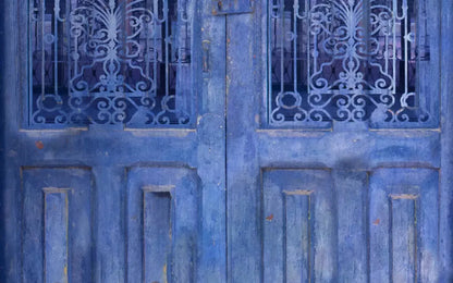 India Door2 14X9 Ultracloth ( 168 X 108 Inch ) Backdrop