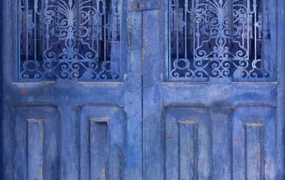 India Door2 16X10 Ultracloth ( 192 X 120 Inch ) Backdrop