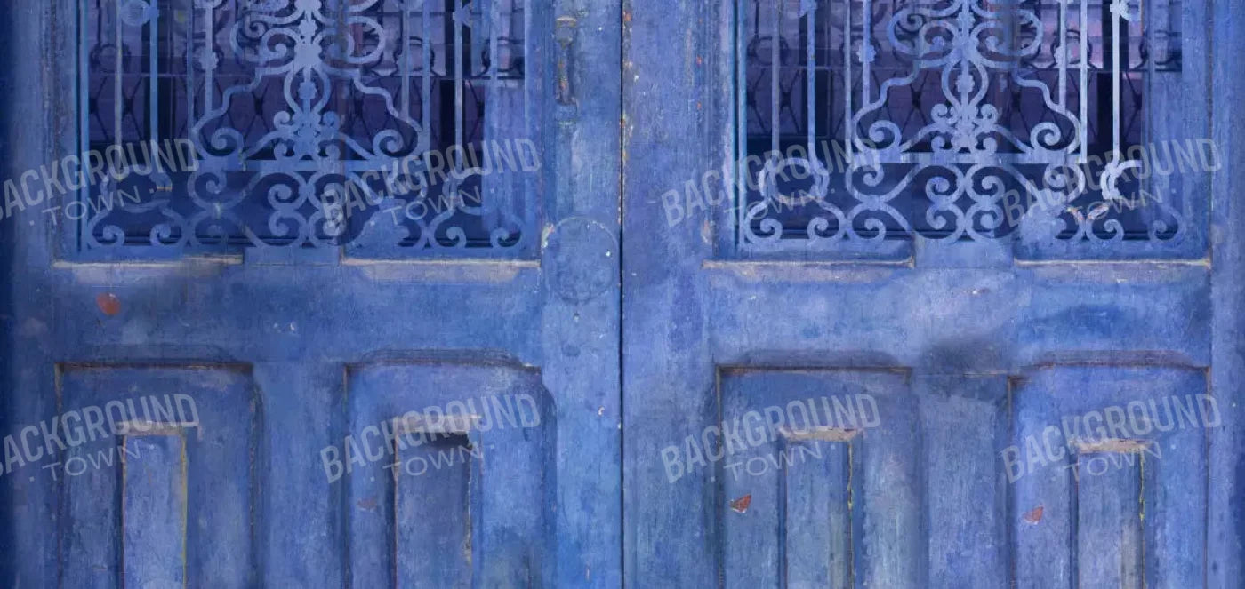 India Door2 16X8 Ultracloth ( 192 X 96 Inch ) Backdrop