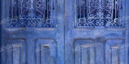 India Door2 20X10 Ultracloth ( 240 X 120 Inch ) Backdrop