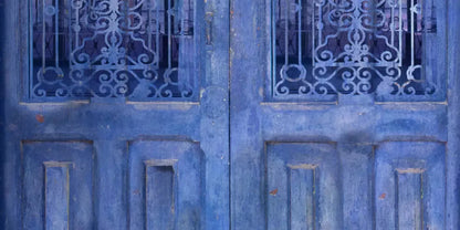 India Door2 20X10 Ultracloth ( 240 X 120 Inch ) Backdrop