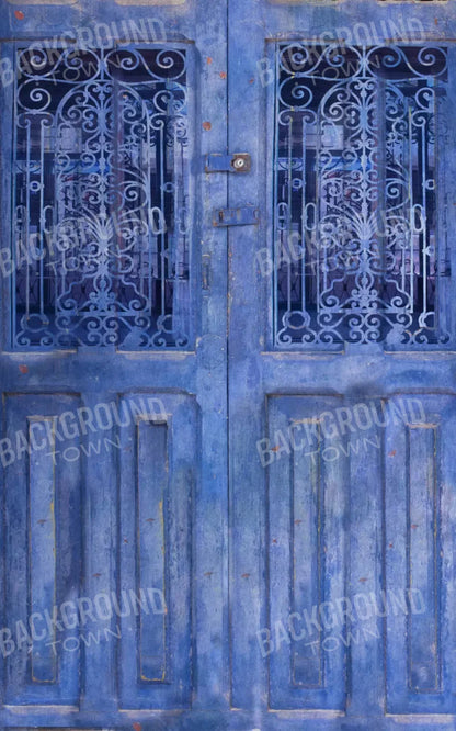 India Door2 9X14 Ultracloth ( 108 X 168 Inch ) Backdrop