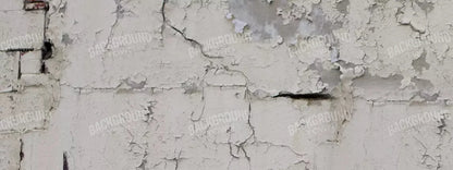 Industrial 20X8 Ultracloth ( 240 X 96 Inch ) Backdrop