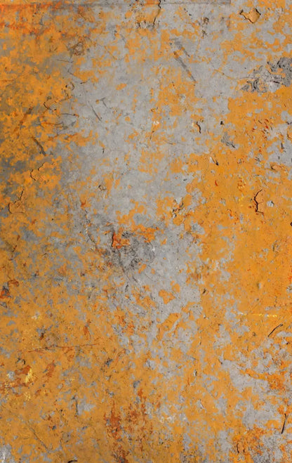 Intent 10X16 Ultracloth ( 120 X 192 Inch ) Backdrop
