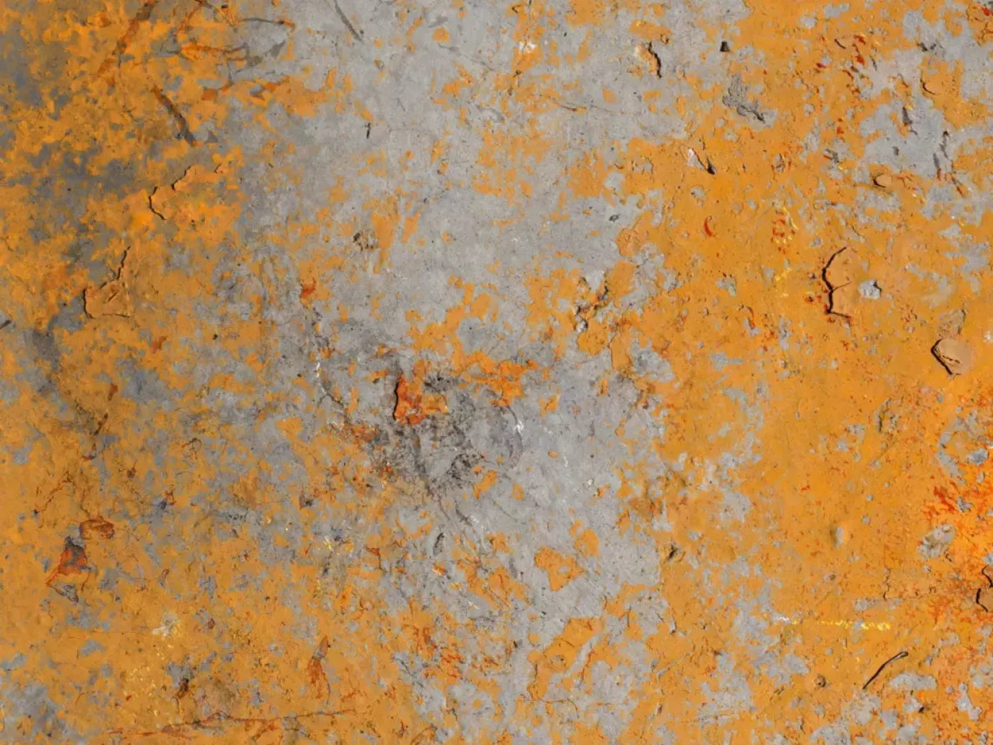 Intent 10X8 Fleece ( 120 X 96 Inch ) Backdrop