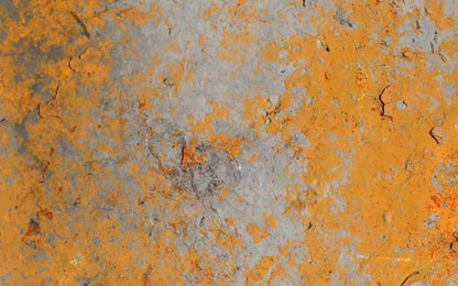 Intent 14X9 Ultracloth ( 168 X 108 Inch ) Backdrop