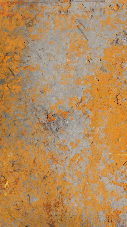 Intent 8X14 Ultracloth ( 96 X 168 Inch ) Backdrop