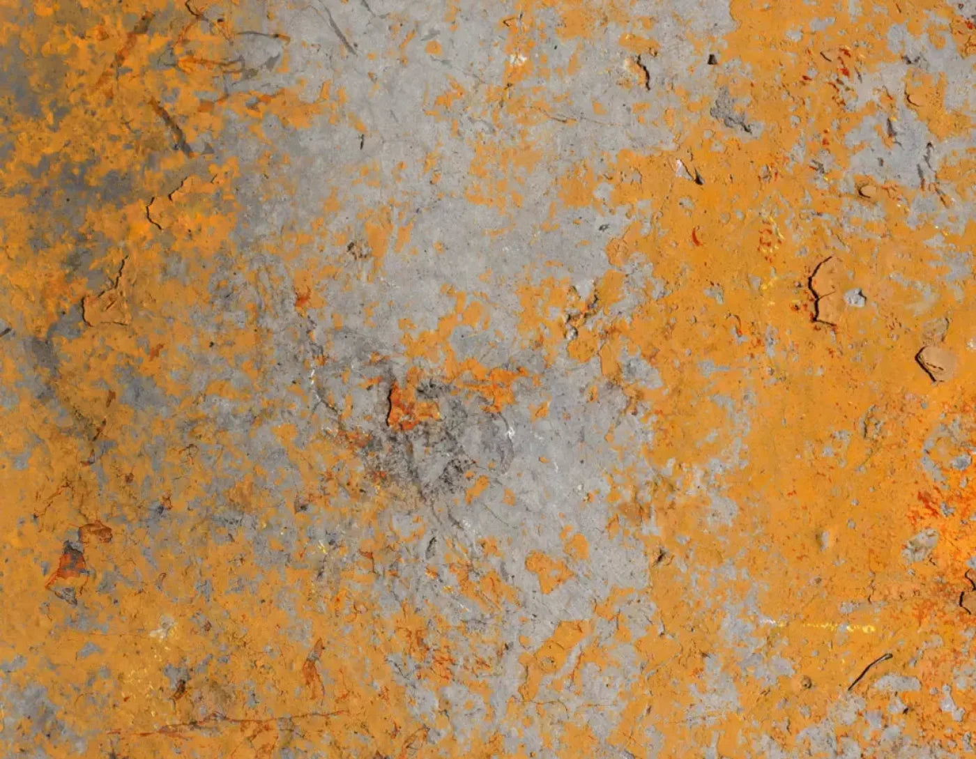 Intent 8X6 Fleece ( 96 X 72 Inch ) Backdrop