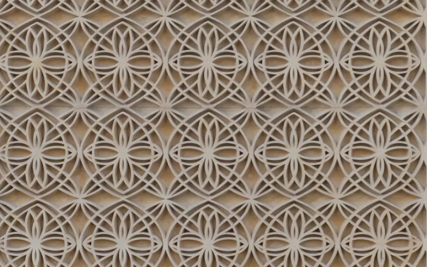 Intricate 14X9 Ultracloth ( 168 X 108 Inch ) Backdrop