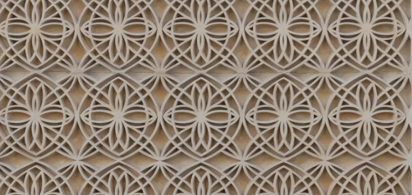 Intricate 16X8 Ultracloth ( 192 X 96 Inch ) Backdrop
