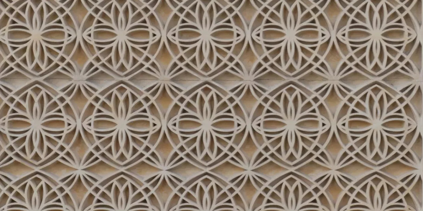 Intricate 20X10 Ultracloth ( 240 X 120 Inch ) Backdrop
