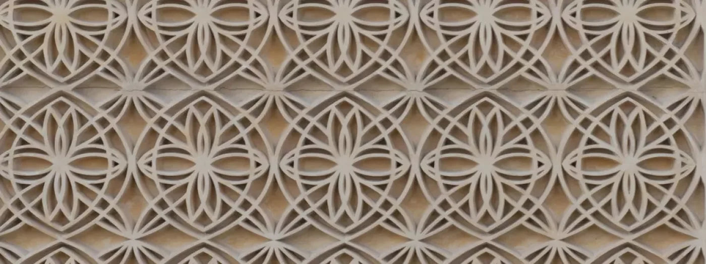 Intricate 20X8 Ultracloth ( 240 X 96 Inch ) Backdrop