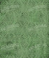 Green Damask Backdrop for Photography