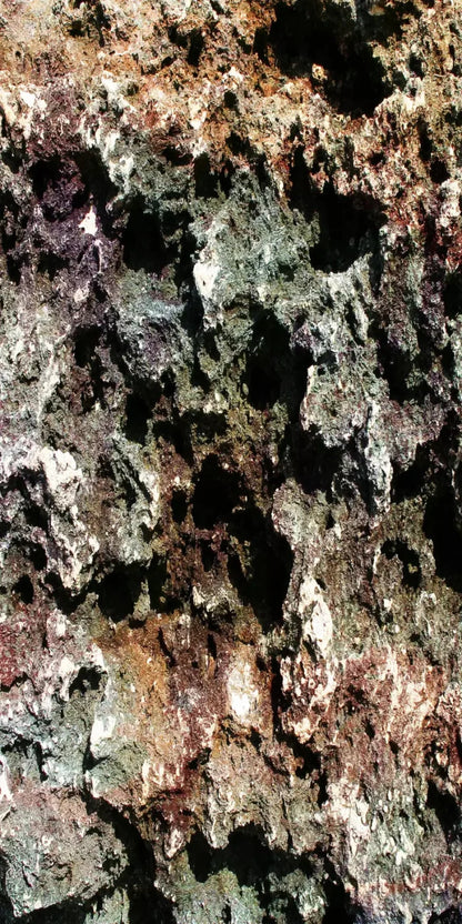 Irk 10X20 Ultracloth ( 120 X 240 Inch ) Backdrop