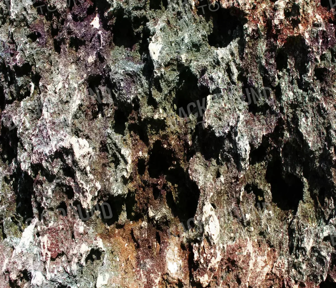 Irk 12X10 Ultracloth ( 144 X 120 Inch ) Backdrop