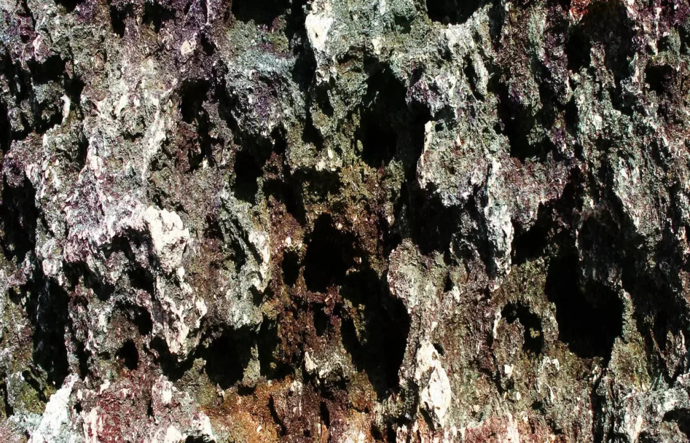 Irk 12X8 Ultracloth ( 144 X 96 Inch ) Backdrop