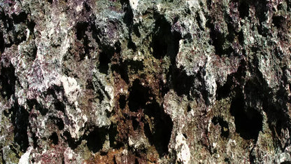 Irk 14X8 Ultracloth ( 168 X 96 Inch ) Backdrop