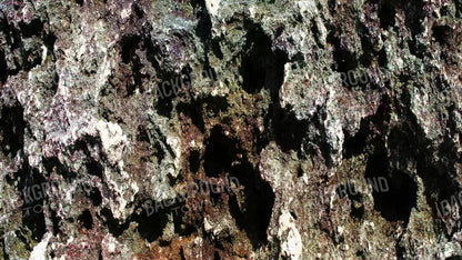 Irk 14X8 Ultracloth ( 168 X 96 Inch ) Backdrop