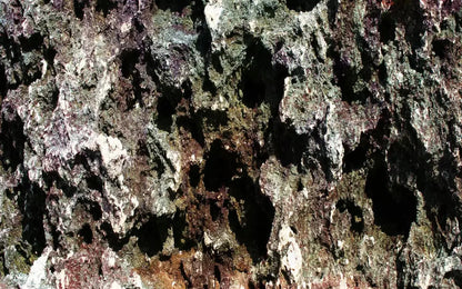 Irk 14X9 Ultracloth ( 168 X 108 Inch ) Backdrop