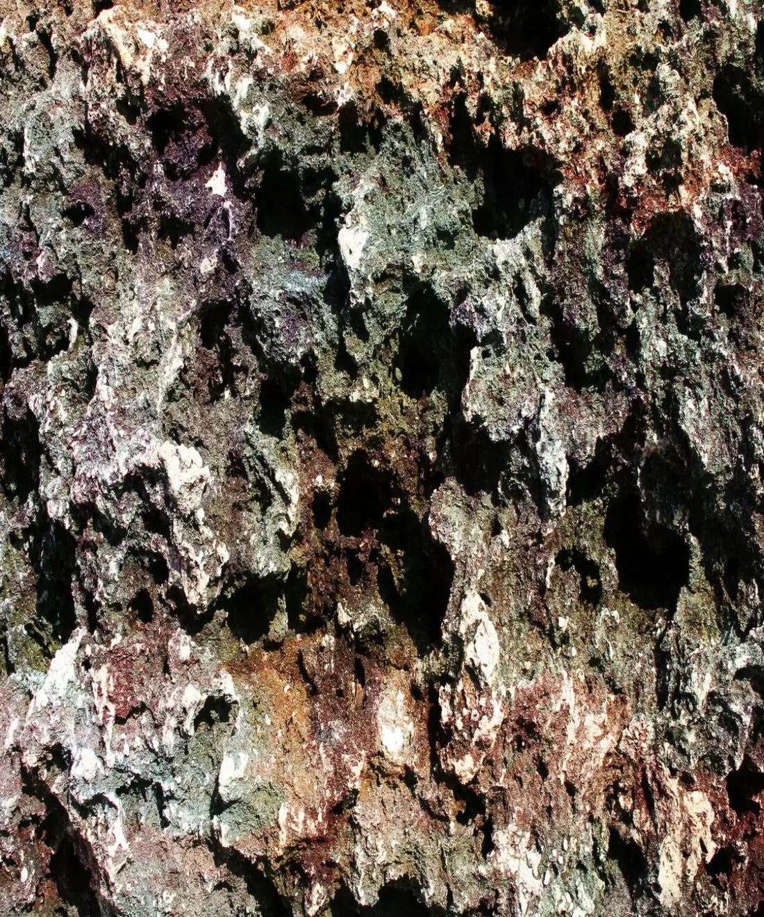 Brown Urban Grunge Backdrop for Photography
