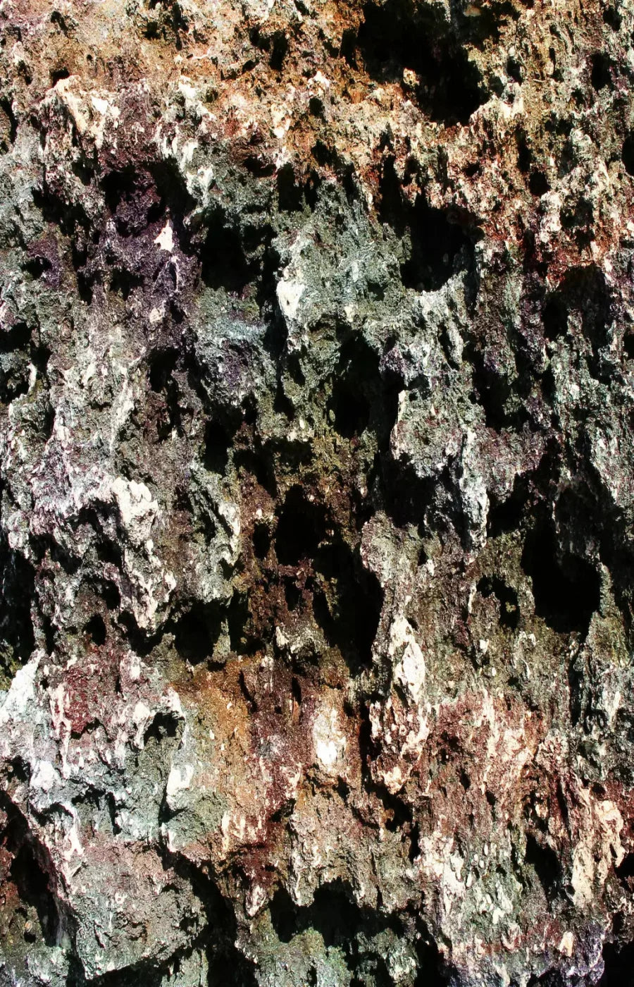 Irk 8X12 Ultracloth ( 96 X 144 Inch ) Backdrop